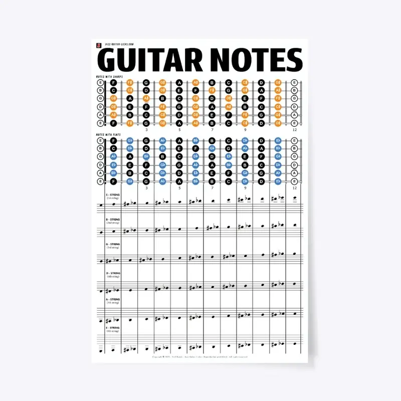 Notes On The Guitar Poster